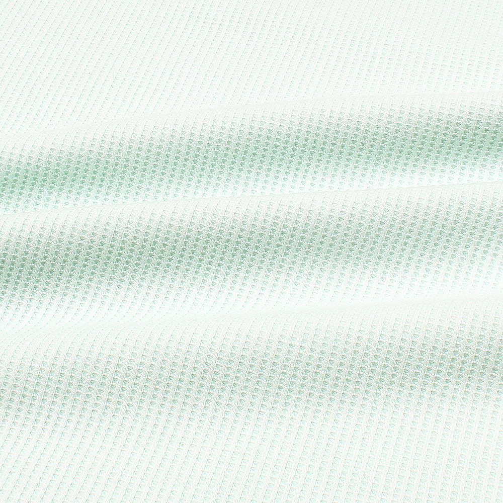 RL PREMIUM MEN'S V NECK BORDER POLO SHIRT (SEA GREEN)