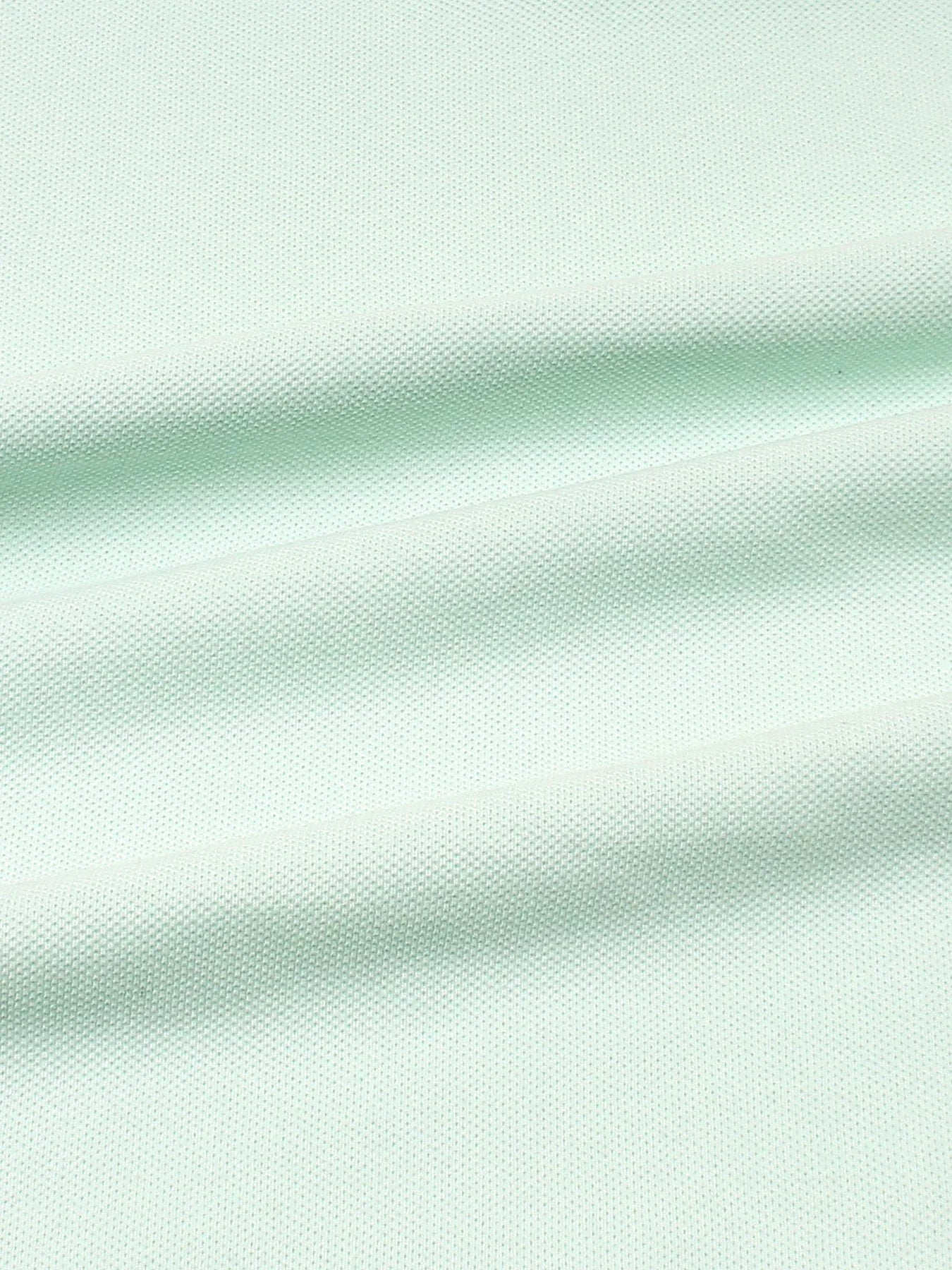 RL Premium Big Pony Self Emb Polo shirt (Sea-Green)